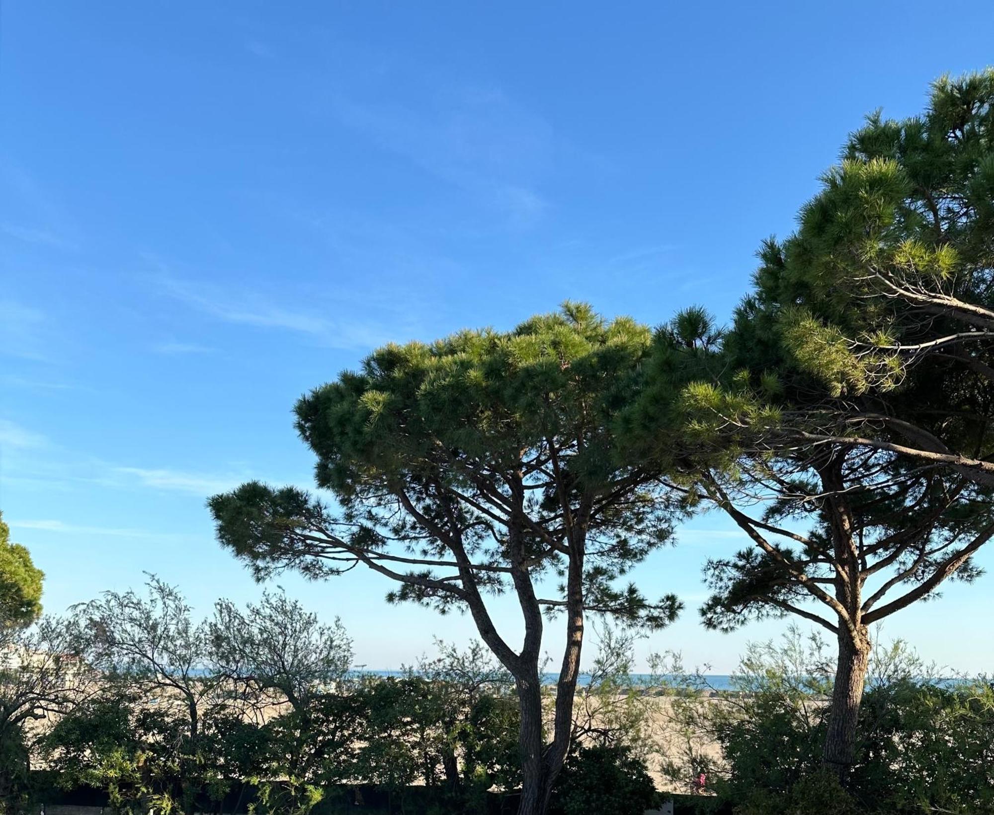 Porto San Vito Resort Grado Eksteriør bilde